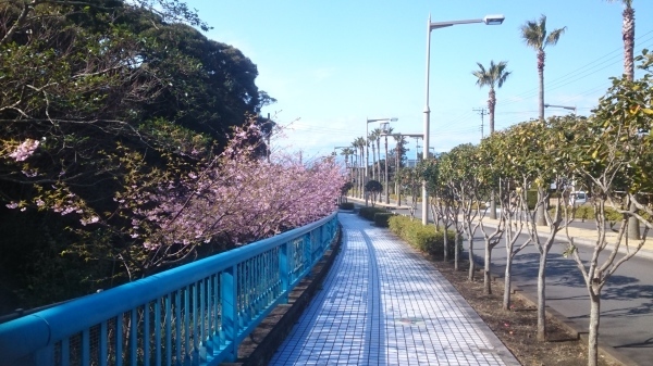 c0229433_11183898.jpg