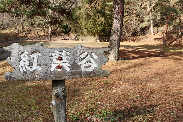 a0242438_20533139.jpg