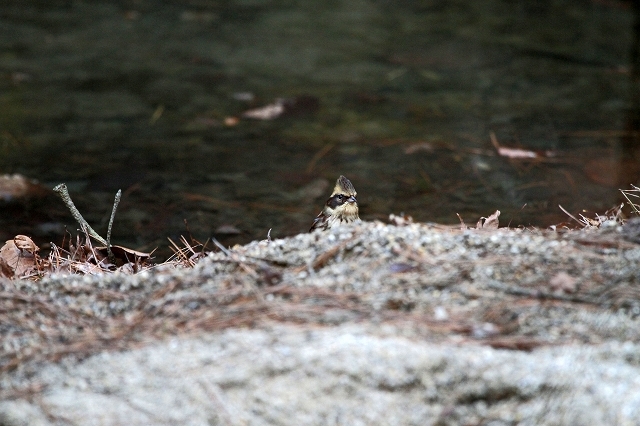 a0242438_20543741.jpg