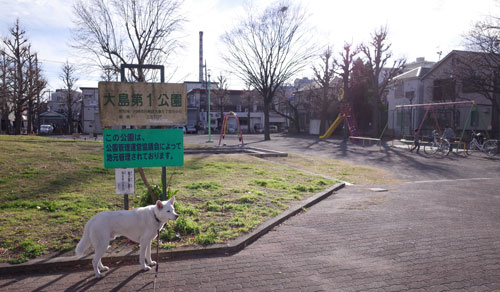 a0117039_06254.jpg