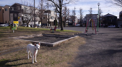a0117039_07883.jpg