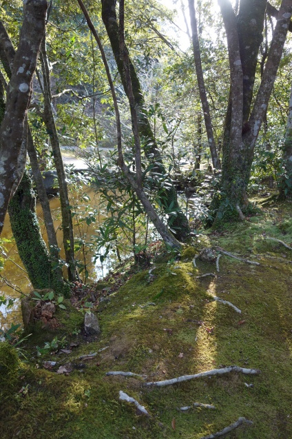 d0255750_12055486.jpg
