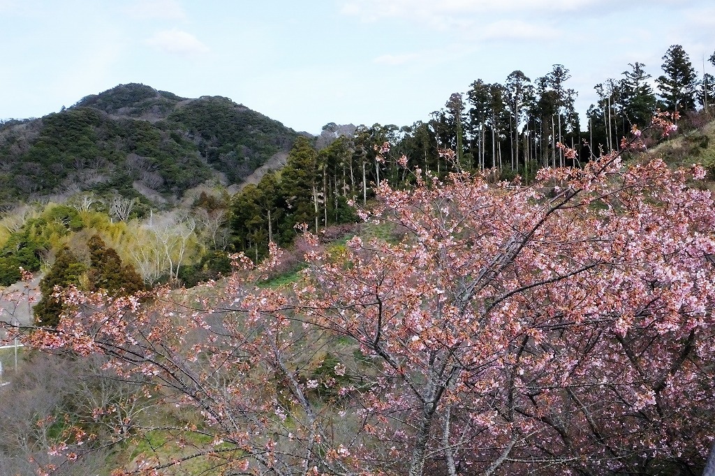 b0236251_10500254.jpg