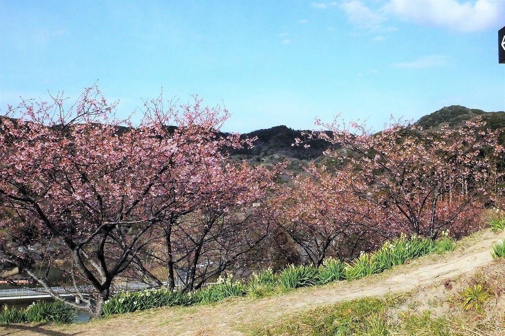 b0236251_10500671.jpg