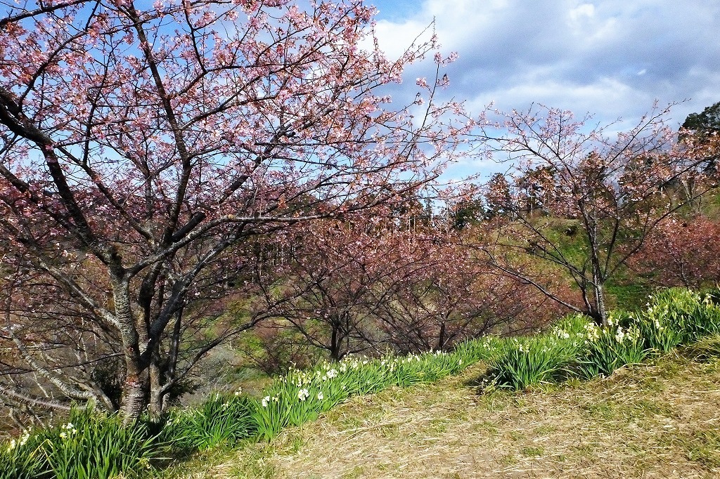 b0236251_10501151.jpg