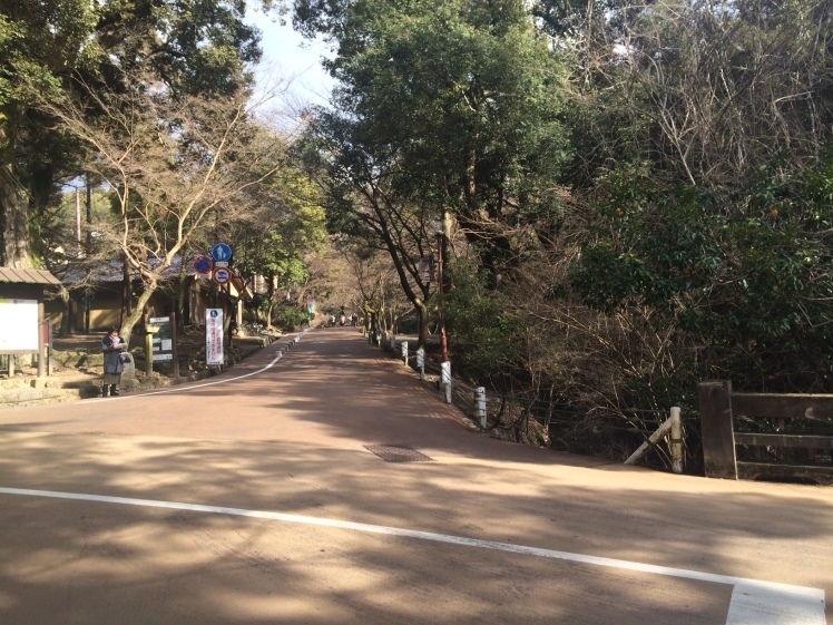 b0336351_11293227.jpg