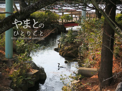 a0286855_06202859.jpg