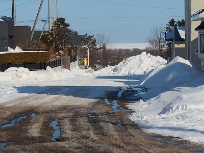 e0004756_20562759.jpg