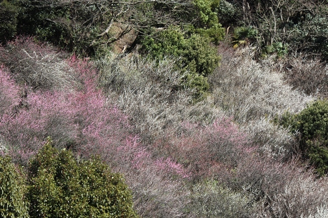 e0239458_20515510.jpg