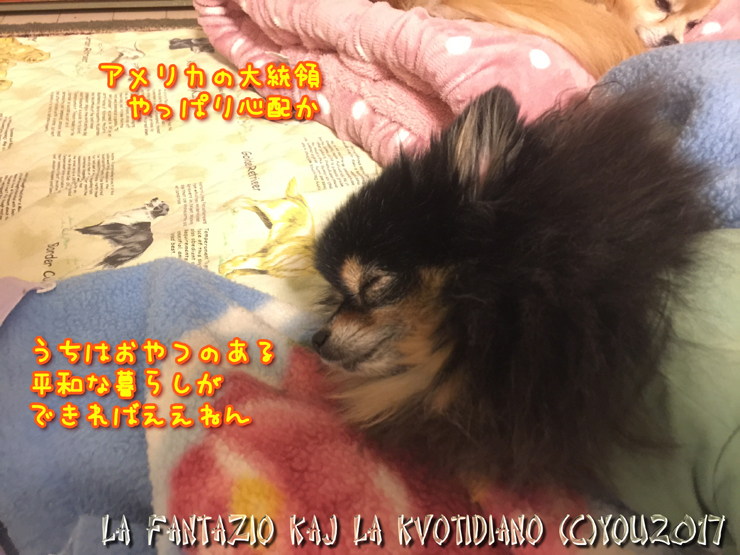 a0004070_21010164.jpg