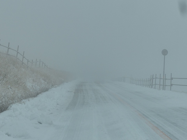 f0357487_21295026.jpg