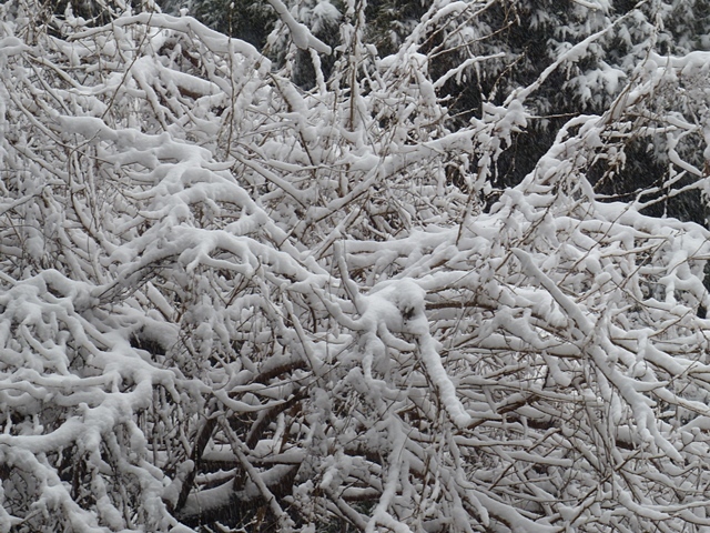 f0357487_21302777.jpg