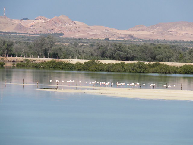 f0346196_17214432.jpg
