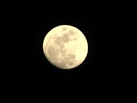 a0125598_20323402.jpg