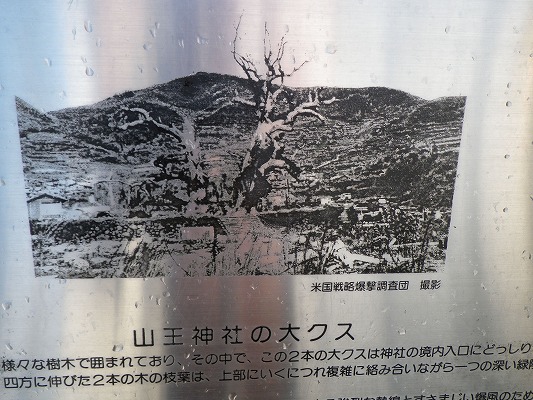 f0187402_15145537.jpg