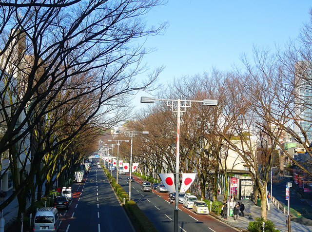 b0172203_17345030.jpg