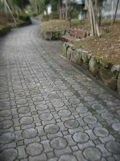 c0062511_19404733.jpg