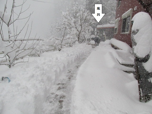 f0341616_15305811.jpg