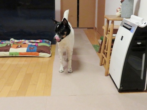 c0084117_20153819.jpg