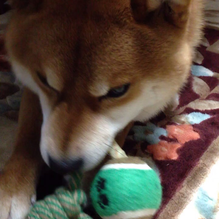 f0223234_10481841.jpg