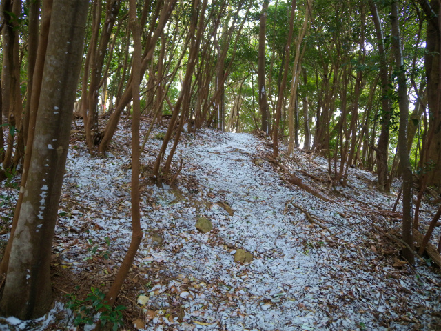 e0272335_18402847.jpg