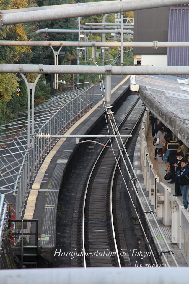 a0207736_21261470.jpg