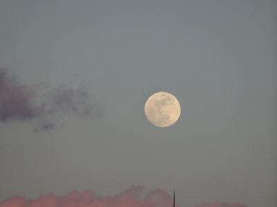c0191843_17161659.jpg