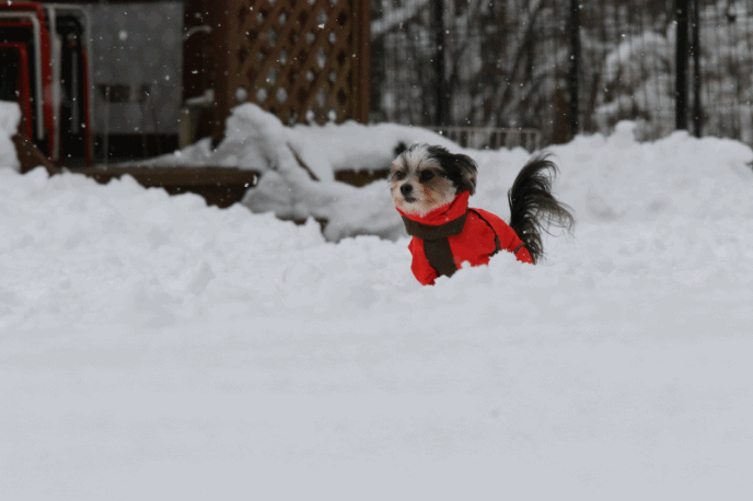 c0145250_09370991.gif