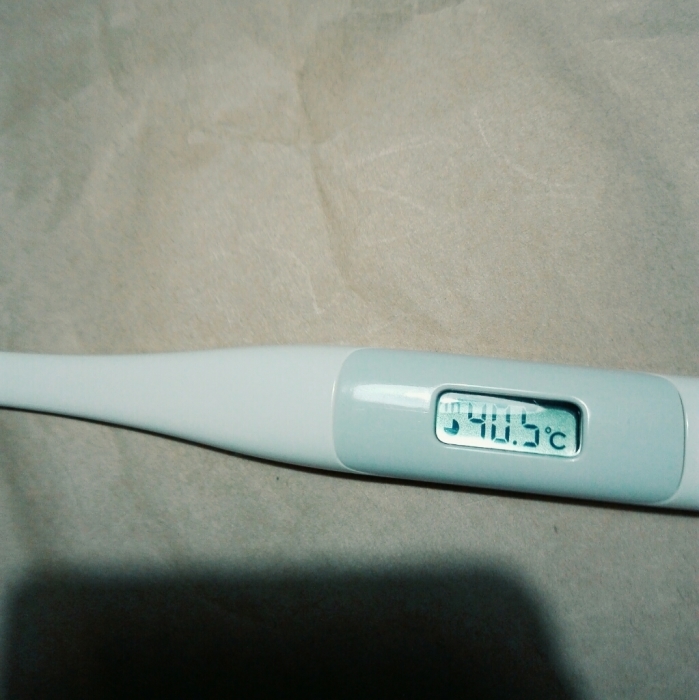 f0131255_10405006.jpg