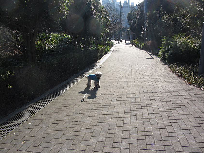 e0129656_2352351.jpg