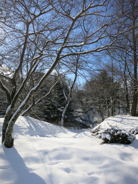 f0236260_14151750.jpg