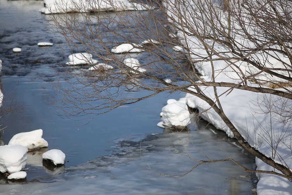 f0347565_20112331.jpg