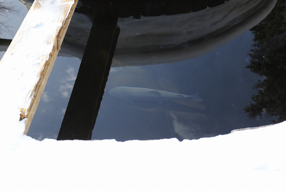 f0347565_20114695.jpg