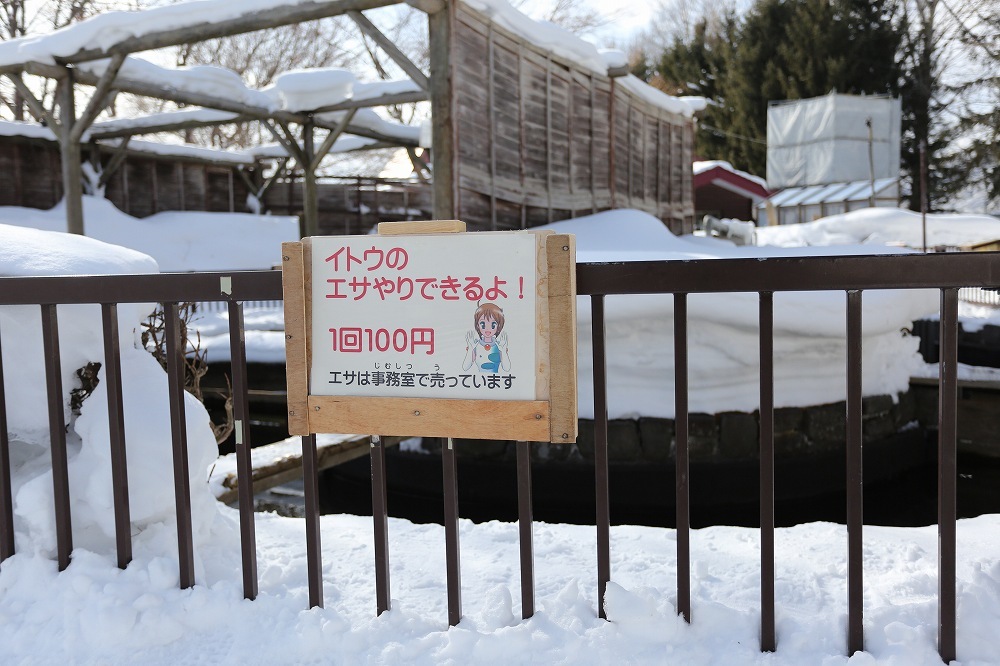 f0347565_20122030.jpg
