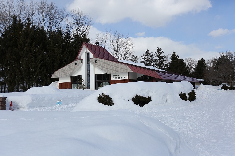 f0347565_20125188.jpg