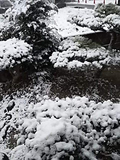 f0003174_15543550.jpg