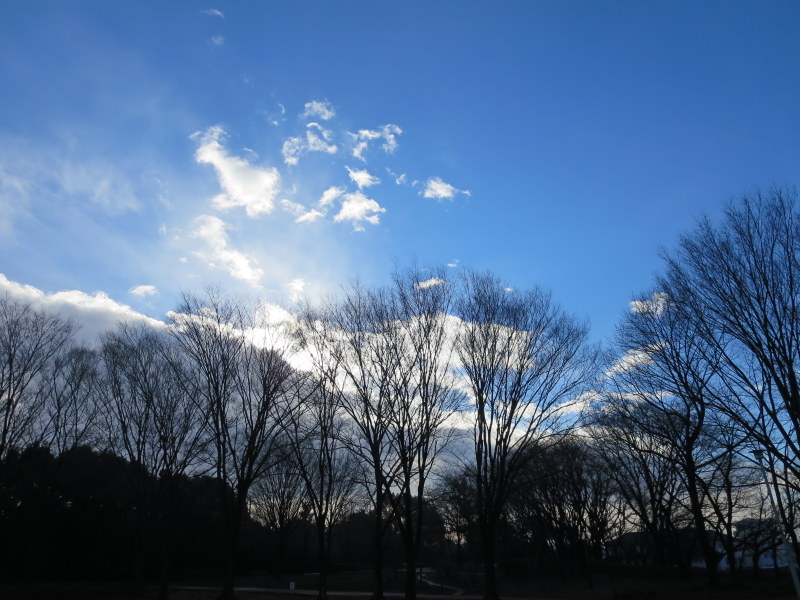 d0264176_1952841.jpg