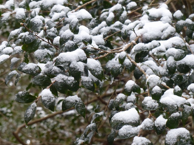 f0357487_23344685.jpg
