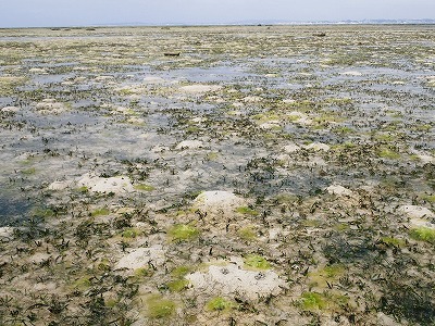 f0338188_18481488.jpg
