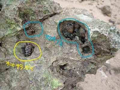 f0338188_18563798.jpg