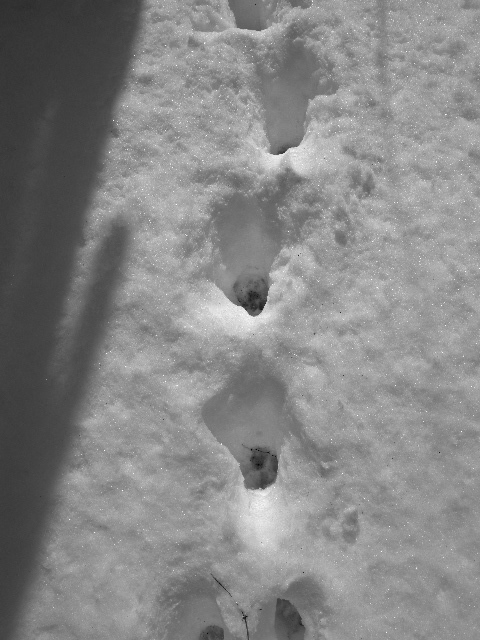 a0199297_21054005.jpg
