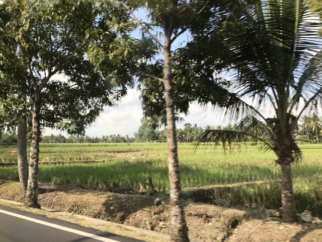 d0337598_01101495.jpg