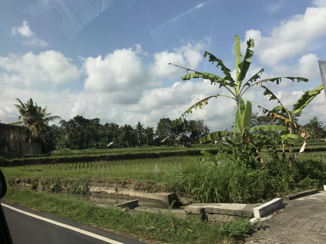 d0337598_01102852.jpg
