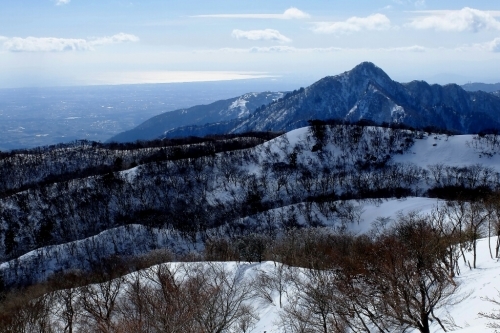 e0304001_13455057.jpg