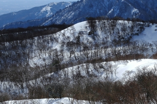 e0304001_13462103.jpg