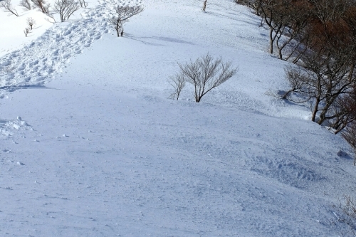 e0304001_13462273.jpg