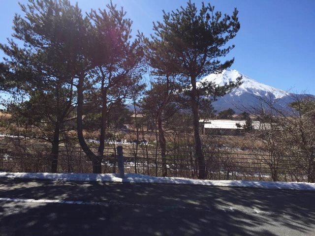 d0024504_19390761.jpg