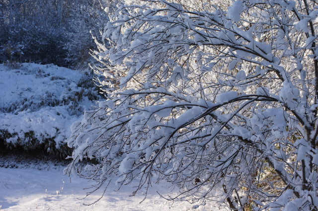 f0327308_13513588.jpg