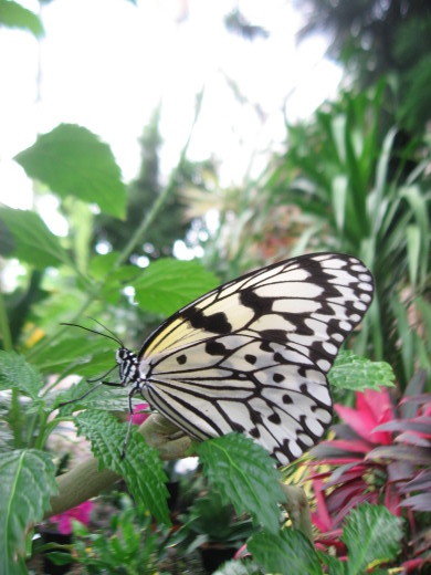 c0062511_19242787.jpg