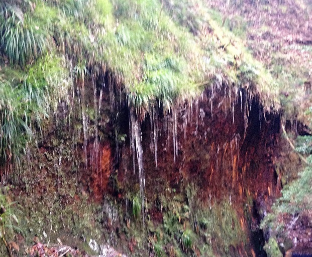 d0007913_02304811.jpg